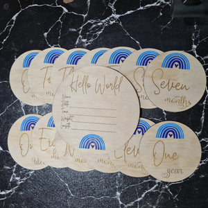Baby milestone discs Blue